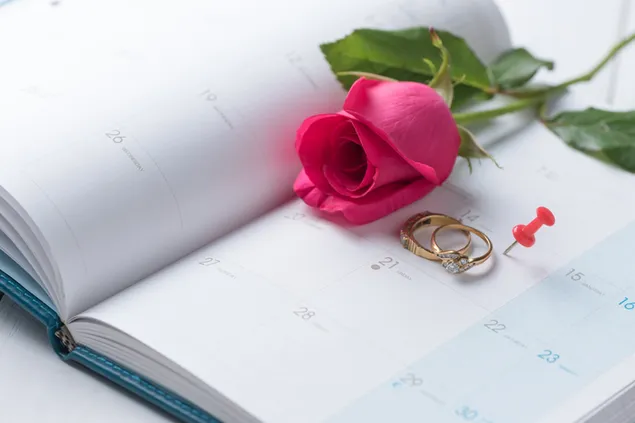 Valentinstag - Ringe und die Rose auf dem Tagebuch 2K Hintergrundbild