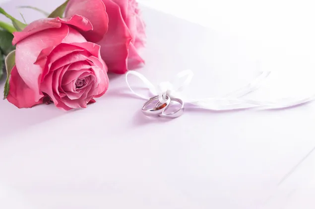 Valentijnsdag - ringen vastgebonden met lint download