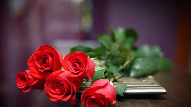 バレンタインデー-ロマンチックな赤いバラ