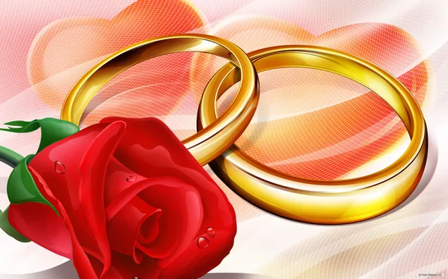 Valentinstag - Rose und die Ringe