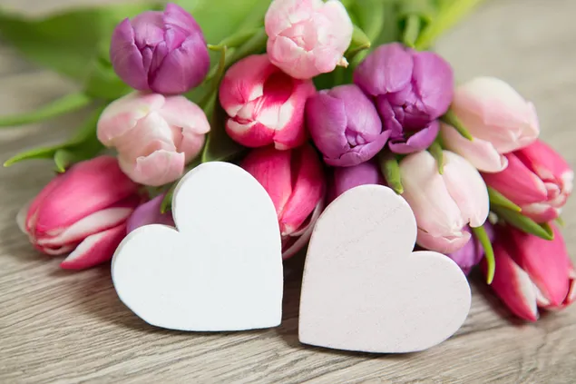Valentinstag - Herz-Paare und bunte Tulpen herunterladen