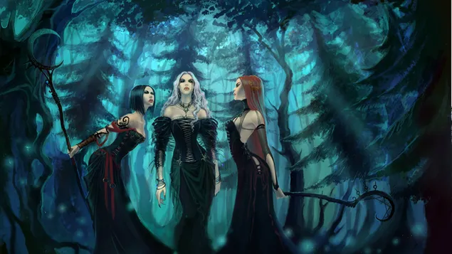 森林里的吸血鬼 2K 壁纸