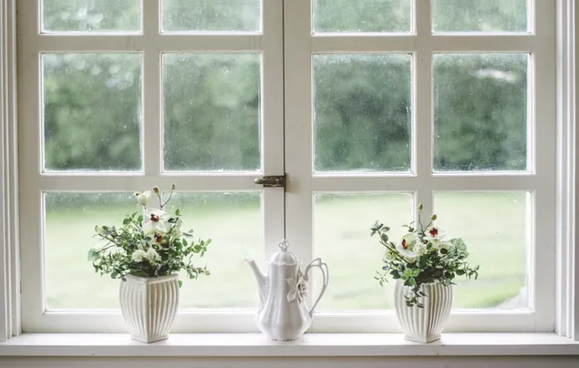 Vases of flowers by the white window