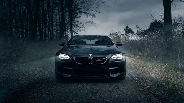 Vehículo BMW M6 descargar