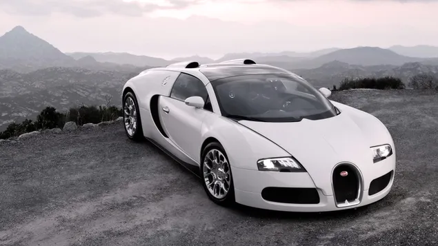 Voertuig Bugatti Veyron Wit HD achtergrond