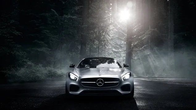 Voertuig Mercedes-Benz AMG download