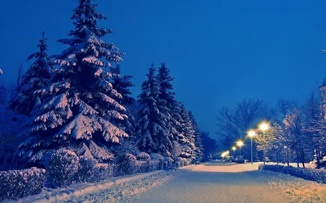 Verschneite Straße nachts