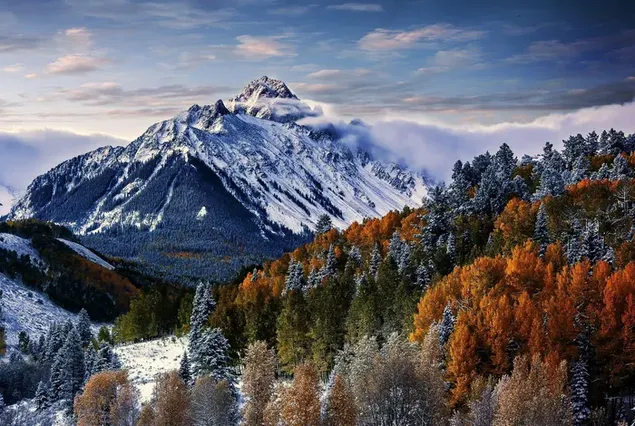 Verschneiter Wald und schneebedeckte Felsgipfel mit sich versammelnden Nebeln und Winteraussicht im Freien