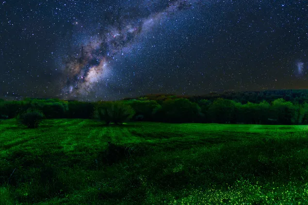 Vía Láctea sobre campo verde