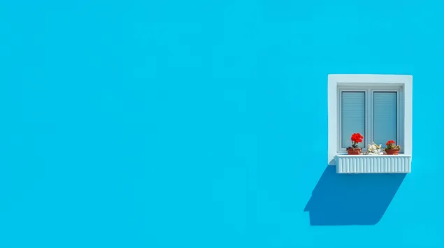 prezemete zhivopisen sin dzid so prozorets so bela ramka