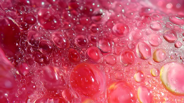 Lebendige Seifenblasenwelt: Makroansicht roter Flüssigkeitströpfchen 8K Hintergrundbild