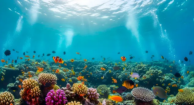 shvnyt lmvgym tvsst: dgym, qrny shmsh vyvpy tt ymy hvrd