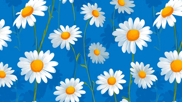 ryskus ramuneliu ziedu masyvas vesliame lauke atsisiusti