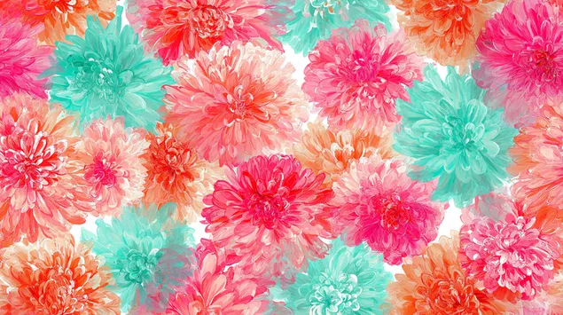 dvgmt prkhym tvsst `m prkhy dlyh b`ly tqstvrh hvrd