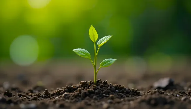 siolog ghlas bhriomhar ag peacadh in ithir shaibhir - saol nua ioslodail