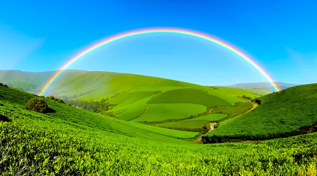 rngynkhmn pr jnb w jwsh br frz tphhy srsbz w khrm brgyry khnyd