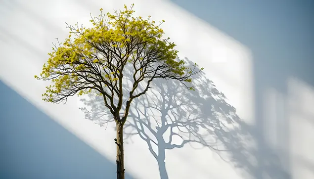 شجرة نابضة بالحياة بأوراق خضراء وظلال درامية 2K خلفية