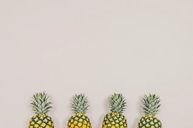 Vier Ananas in einem minimalistischen weißen Hintergrund herunterladen