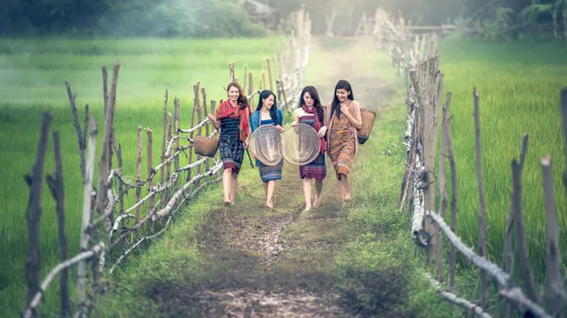 Vier mooie meisjes lopen met hun manden op het pad gemaakt van bomen