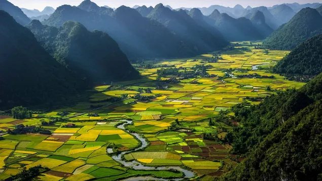 Vietnam met bergen en natuur in de mist download