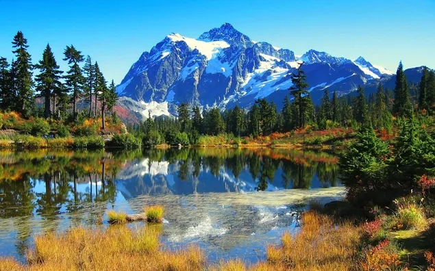 湖に映る雪山と木々の景色 HD 壁紙