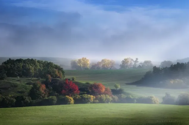 Blick auf Bäume, Feld und Gras zwischen Wolken und Nebel 2K Hintergrundbild