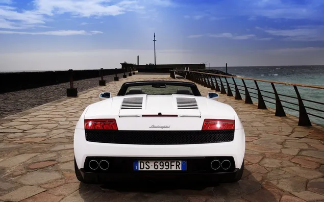 Vista trasera del Lamborghini Gallardo