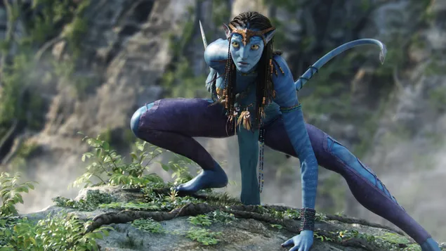 Visual effects feast avatar movie series hero beautiful warrior neytiri