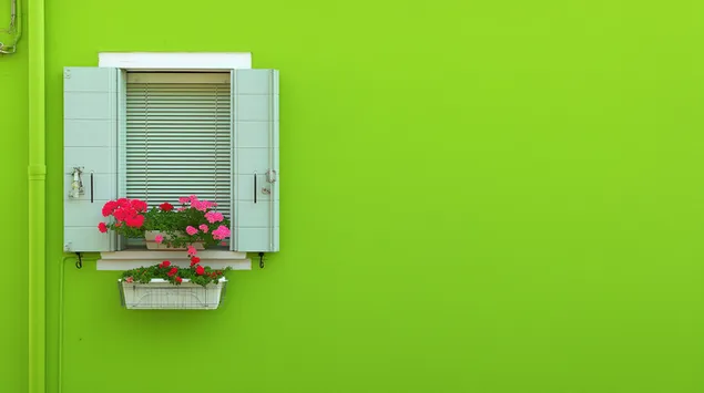 prezemete zhivopisen zelen dzid so otvoreni kapatsi i rozovi tsvekjinja vo zhardiniera