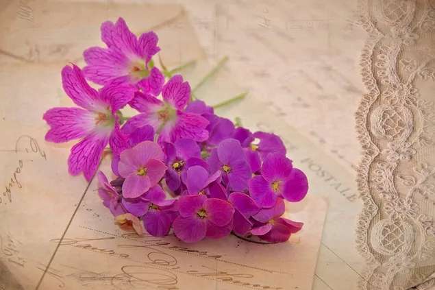 ヴィンテージの手紙の上のピンクの花