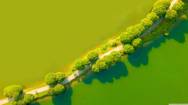 jarve aares puude vahel mustusteel kondimine allalaadimine