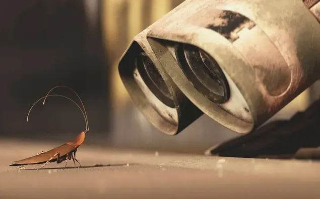 Wall-e Zeichentrickfilm-Roboter wirft einen verwirrten Blick auf ein stehendes Insekt 2K Hintergrundbild