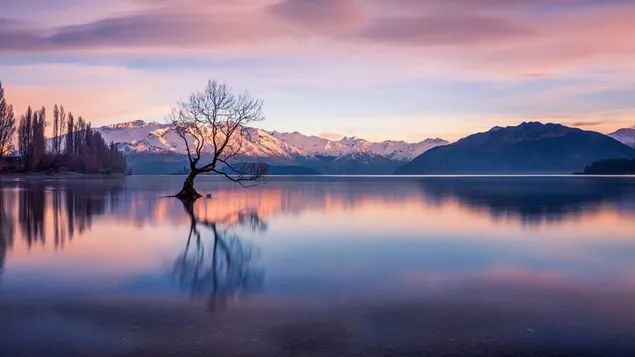 Wānaka-meer in Nieuw-Zeeland met besneeuwde bergtoppen en bomen weerspiegeld in het water download