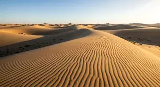 Wen Nuan De Yang Guang Ying Zhao Zhao Yan Mao Qing Lang Tian Kong Xia Wu Yin Sha Mo Sha Qiu Liu Chang De Wen Li He Rou He De Qu Xian ,Ying Zao Chu Yi Fu Zhu Jing Er Yong Heng De Feng Jing Hua .  Xia Zai
