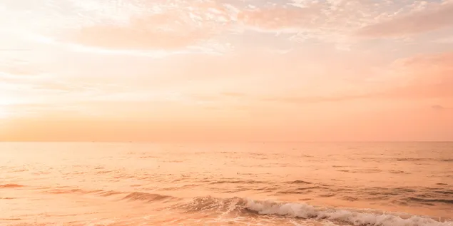 lop phu chuyen mau kem va dao am ap cho cac thiet ke sang tao hap dan tai xuong