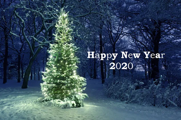Warme wensen voor Kerstmis en Nieuwjaar 2020