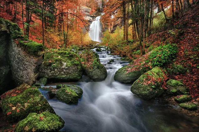 Wasserfall, der zwischen Herbstblättern und moosigen Steinen im Wald fließt