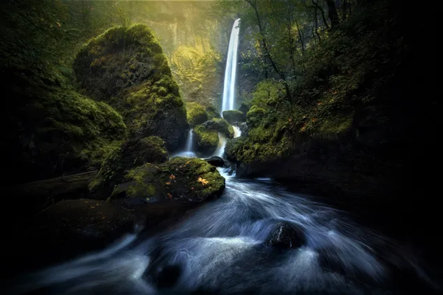 Wasserfall und Fluss im moosigen Wald