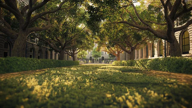 看门狗 2 4K 壁纸