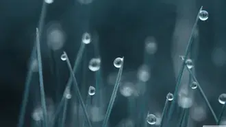 Капля воды и лист 4K обои