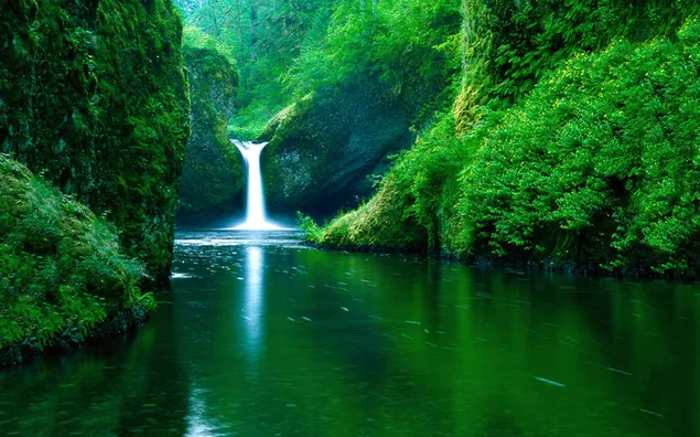Cascada que fluye alto entre árboles verdes