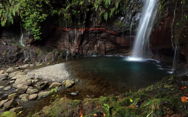 Wasserfall, der durch moosige Steine ​​und grüne Blätter im Wald fließt 2K Hintergrundbild