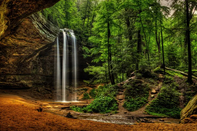 Wasserfall im grünen Wald herunterladen