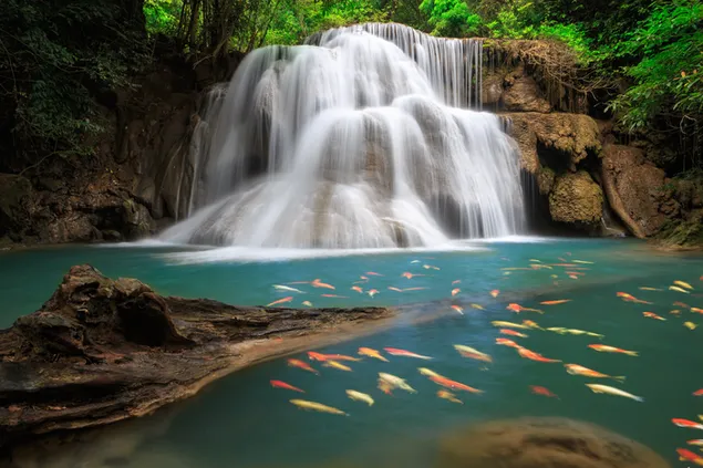 Air terjun unduhan