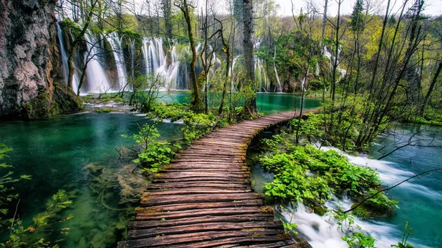 Wasserfälle, die von Bergen und Seen und Holzbrücken zwischen Bäumen fließen herunterladen