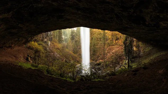 洞窟の滝