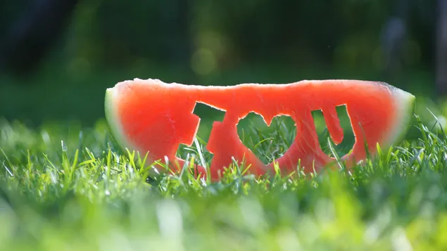 Watermeloen liefde download