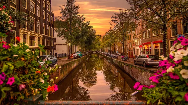 Waterway, canal, reflection, amsterdam, netherlands download