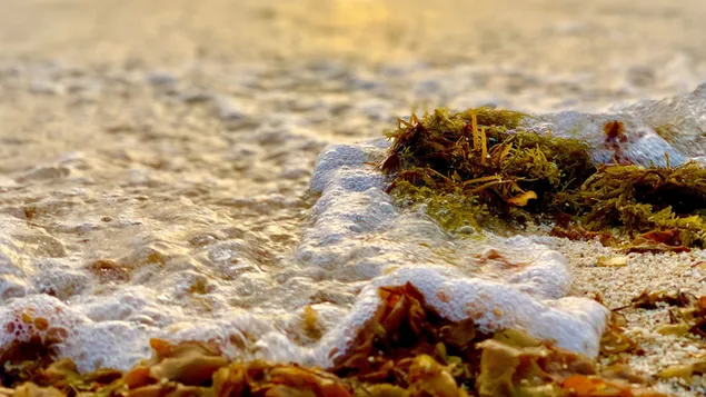 Hullámbuborékok a tengerparton 4K háttérkép