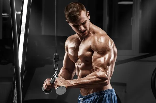 Weight lifter muscular man bodybuilder download